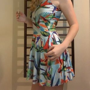 Hummingbird Skater Dress